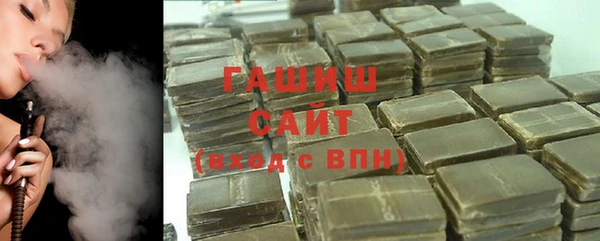 молекула духа Вяземский
