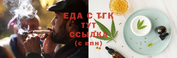 молекула духа Вяземский