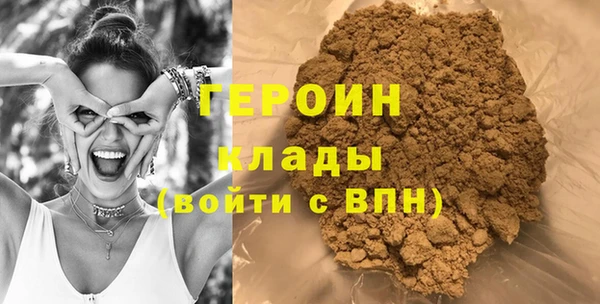 молекула духа Вяземский