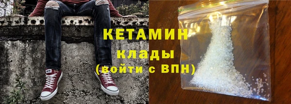 молекула духа Вяземский