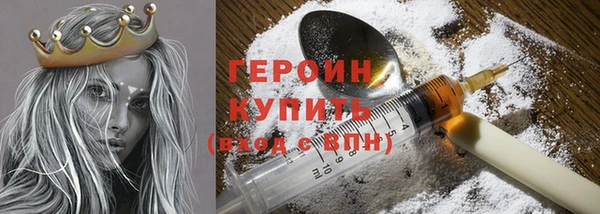 молекула духа Вяземский