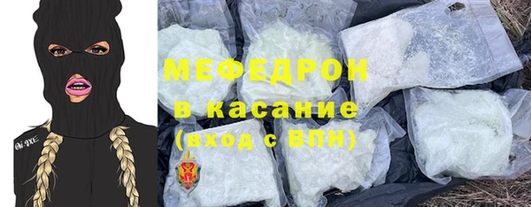 молекула духа Вяземский