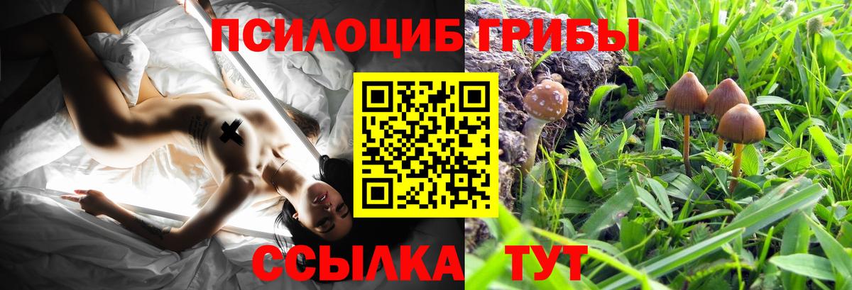 Меф МЯУ МЯУ   Мариинск  Вход с VPN 