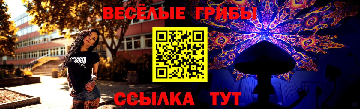 Мариинск  Псилоцибиновые грибы MAGIC MUSHROOMS  Псилоцибиновые грибы Psilocybe  Вход с VPN 